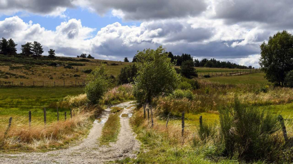 Habitat de la Pie-grièche grise dans le Massif Central (source : atalante.fr)